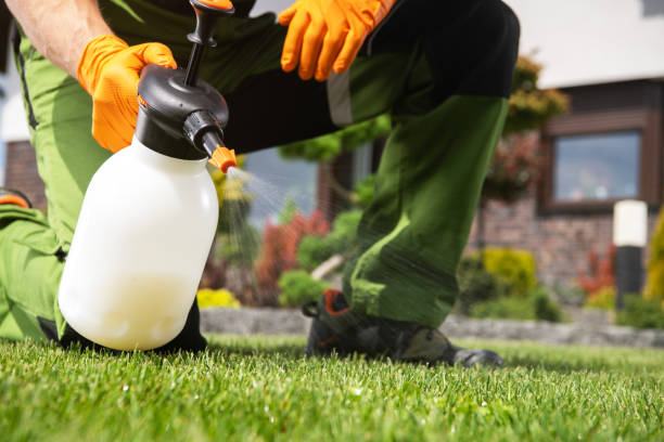 Wasp Removal Services in Seadrift, TX