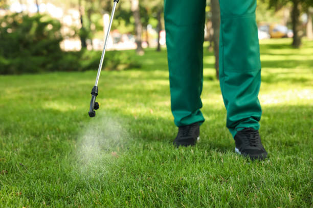 Trusted Seadrift, TX Pest Control Experts