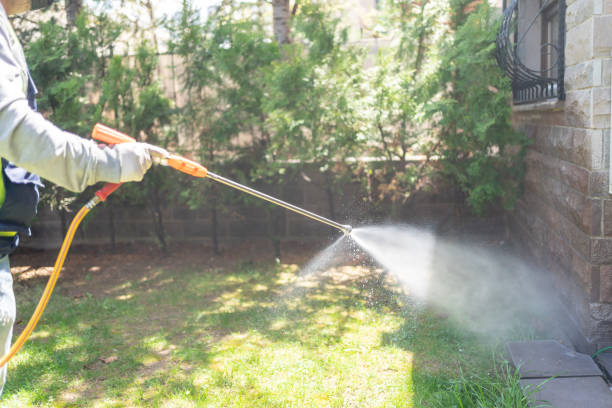 Flea Control Services in Seadrift, TX