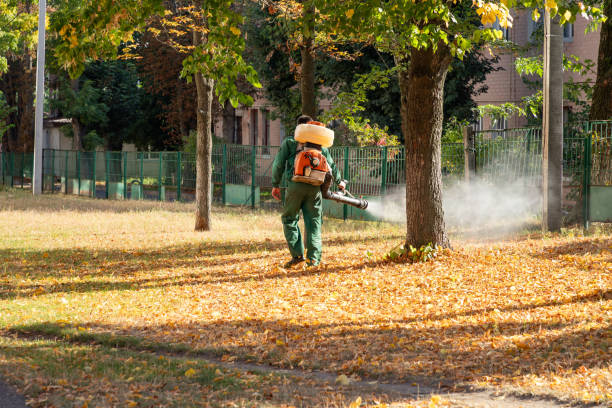 Best Ant Control Services  in Seadrift, TX